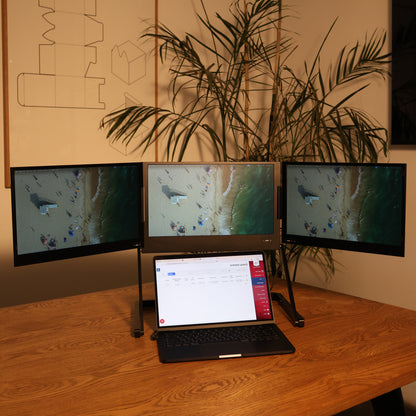 TriVision Pro Max 15.6