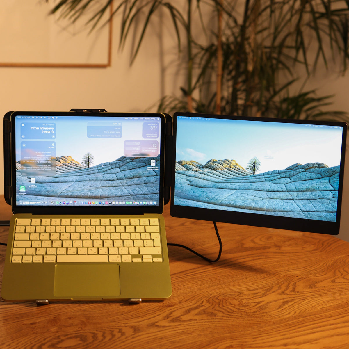 Dual-Screen S1